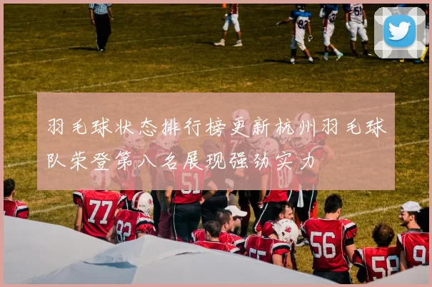 羽毛球状态排行榜更新杭州羽毛球队荣登第八名展现强劲实力