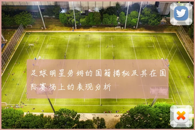 足球明星劳姆的国籍揭秘及其在国际赛场上的表现分析