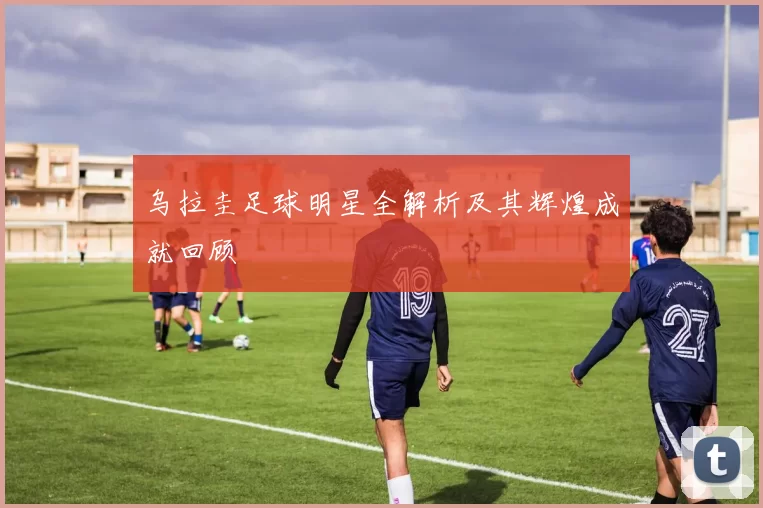 乌拉圭足球明星全解析及其辉煌成就回顾