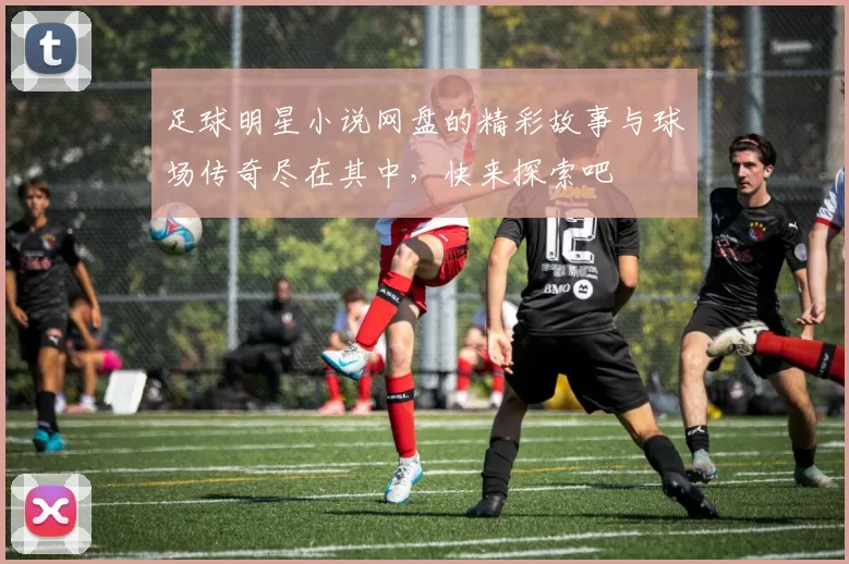 足球明星小说网盘的精彩故事与球场传奇尽在其中，快来探索吧