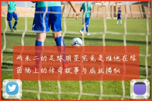 两米二的足球明星究竟是谁他在绿茵场上的传奇故事与成就揭秘