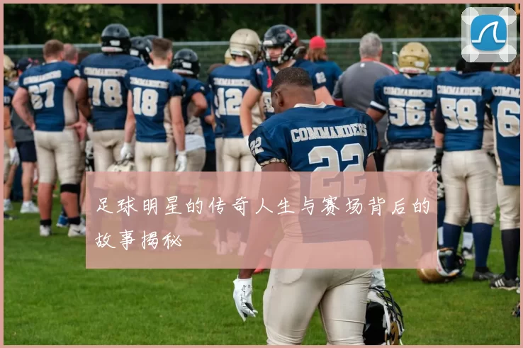 足球明星的传奇人生与赛场背后的故事揭秘