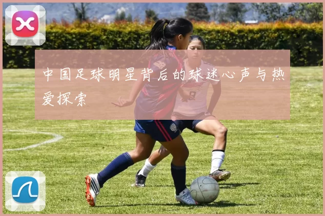 中国足球明星背后的球迷心声与热爱探索