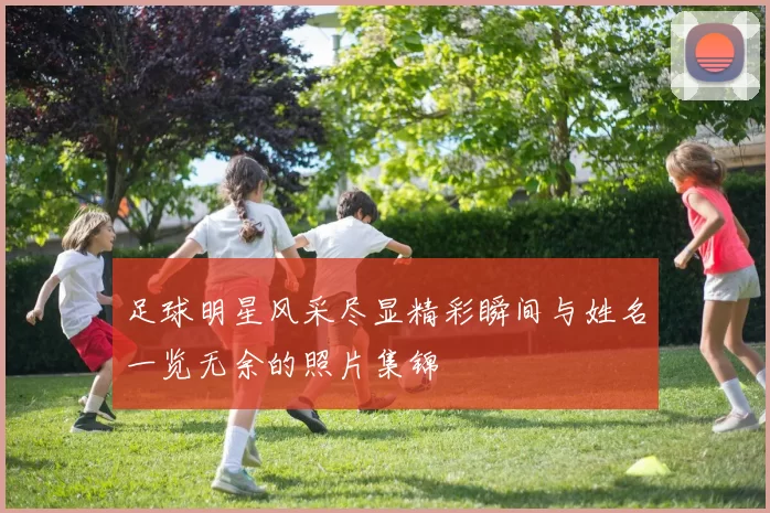 足球明星风采尽显精彩瞬间与姓名一览无余的照片集锦