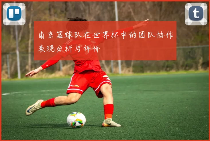 南京篮球队在世界杯中的团队协作表现分析与评价