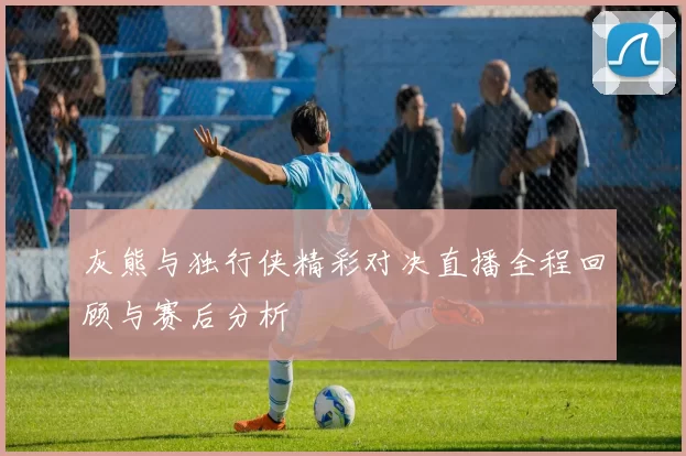 灰熊与独行侠精彩对决直播全程回顾与赛后分析