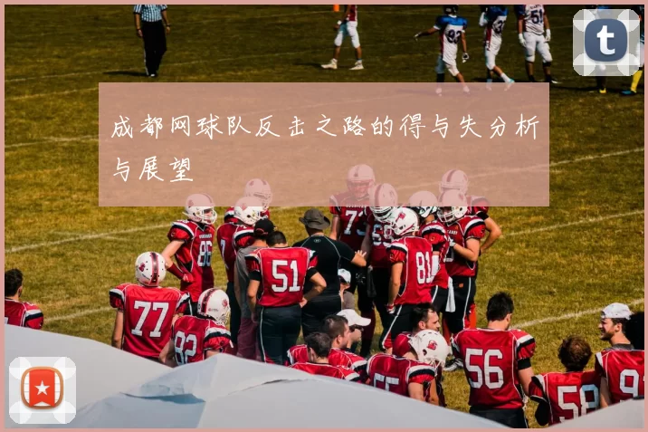 成都网球队反击之路的得与失分析与展望